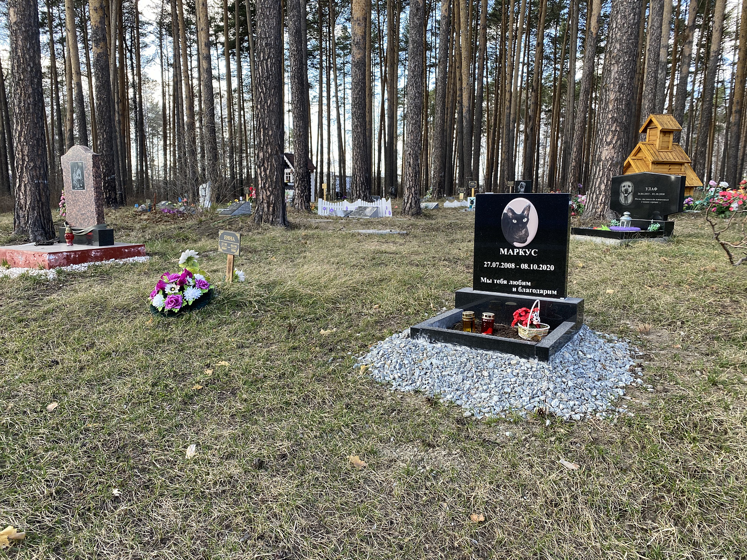 Лесная зона